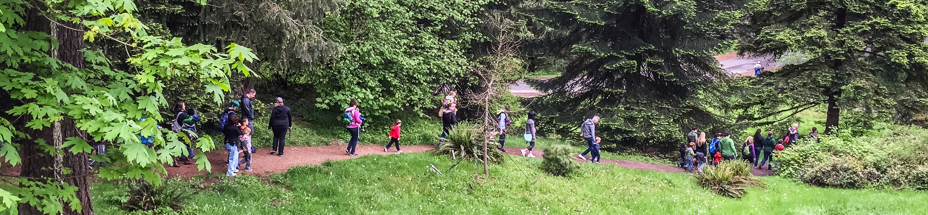 Tree Time! Preschool Walks- Local Habitats
