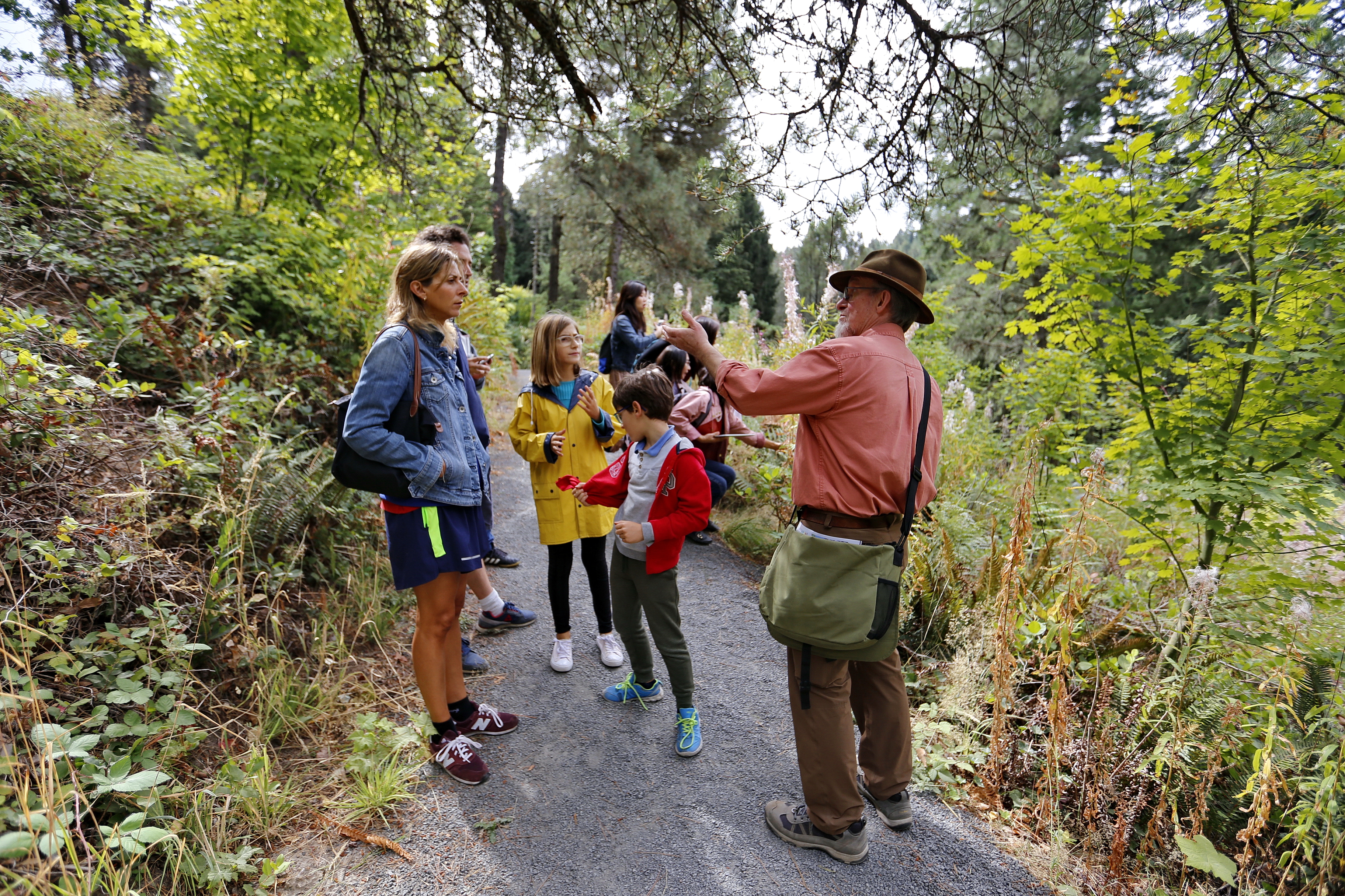 Public Tour – The Pine Family Tree