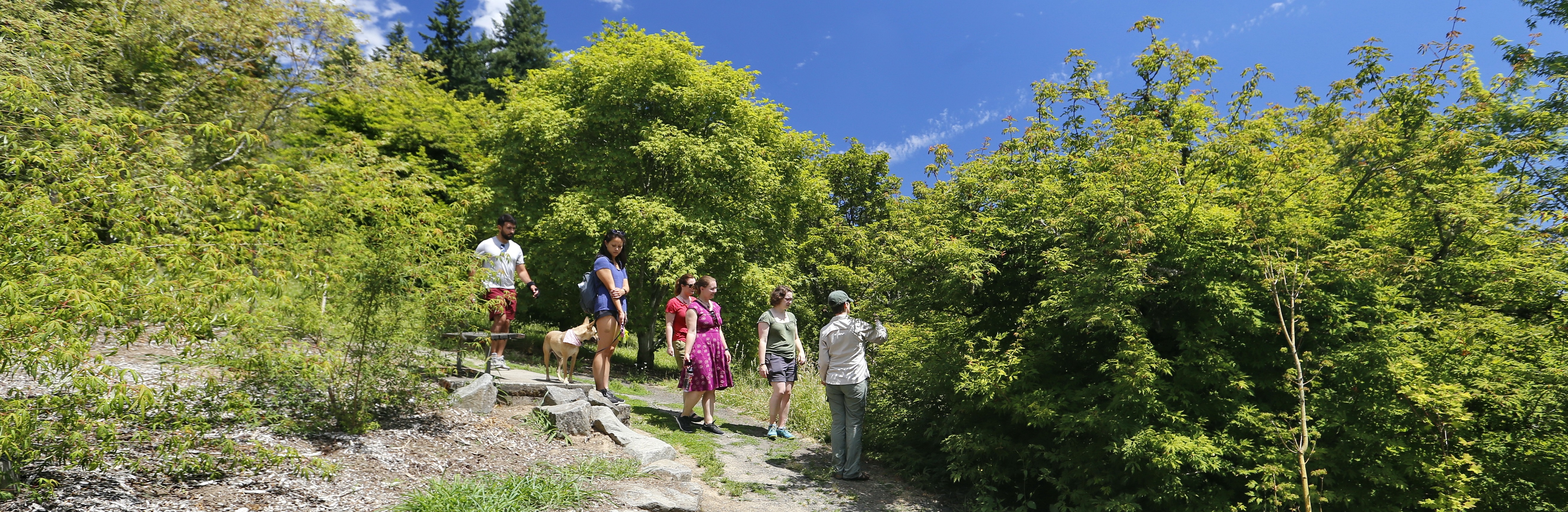 Public Tour Guide Volunteer Training