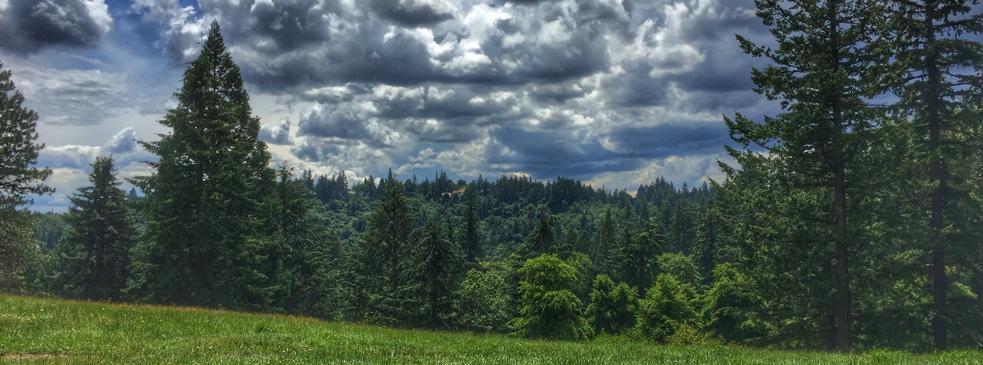 Hoyt Arboretum