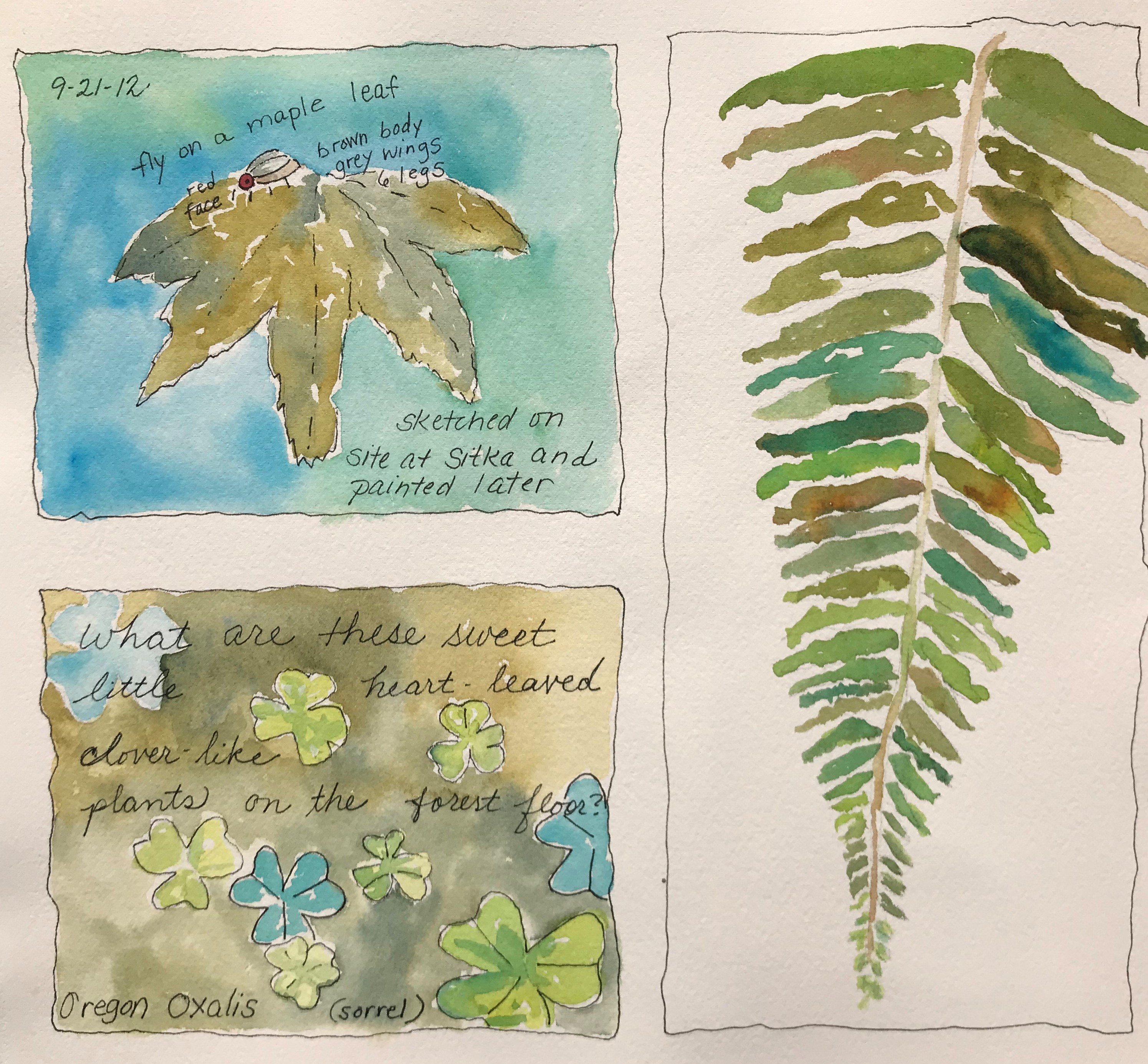 Nature Journaling with Watercolors (September Series)