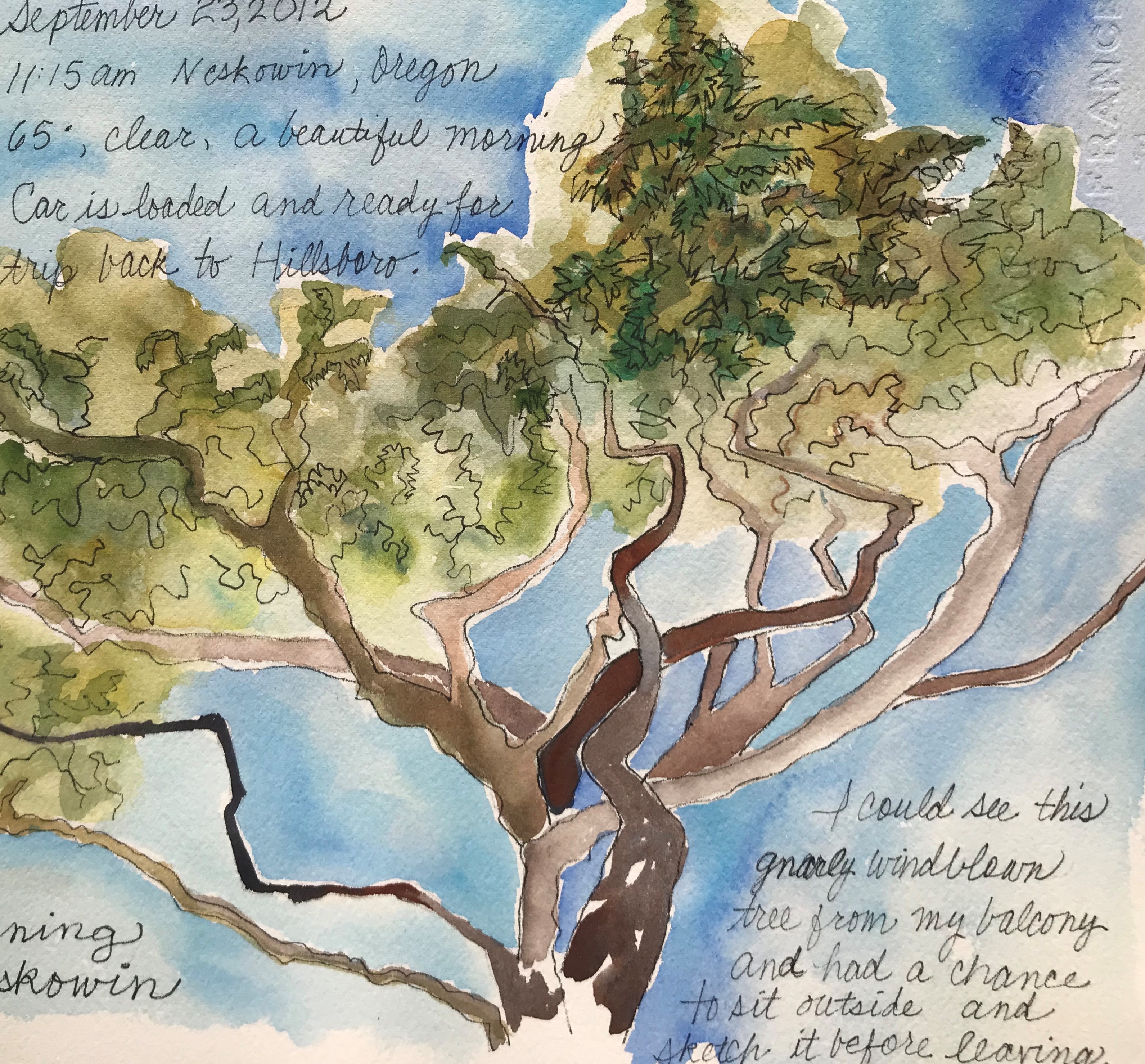 Nature Journaling with Watercolors (September Series)