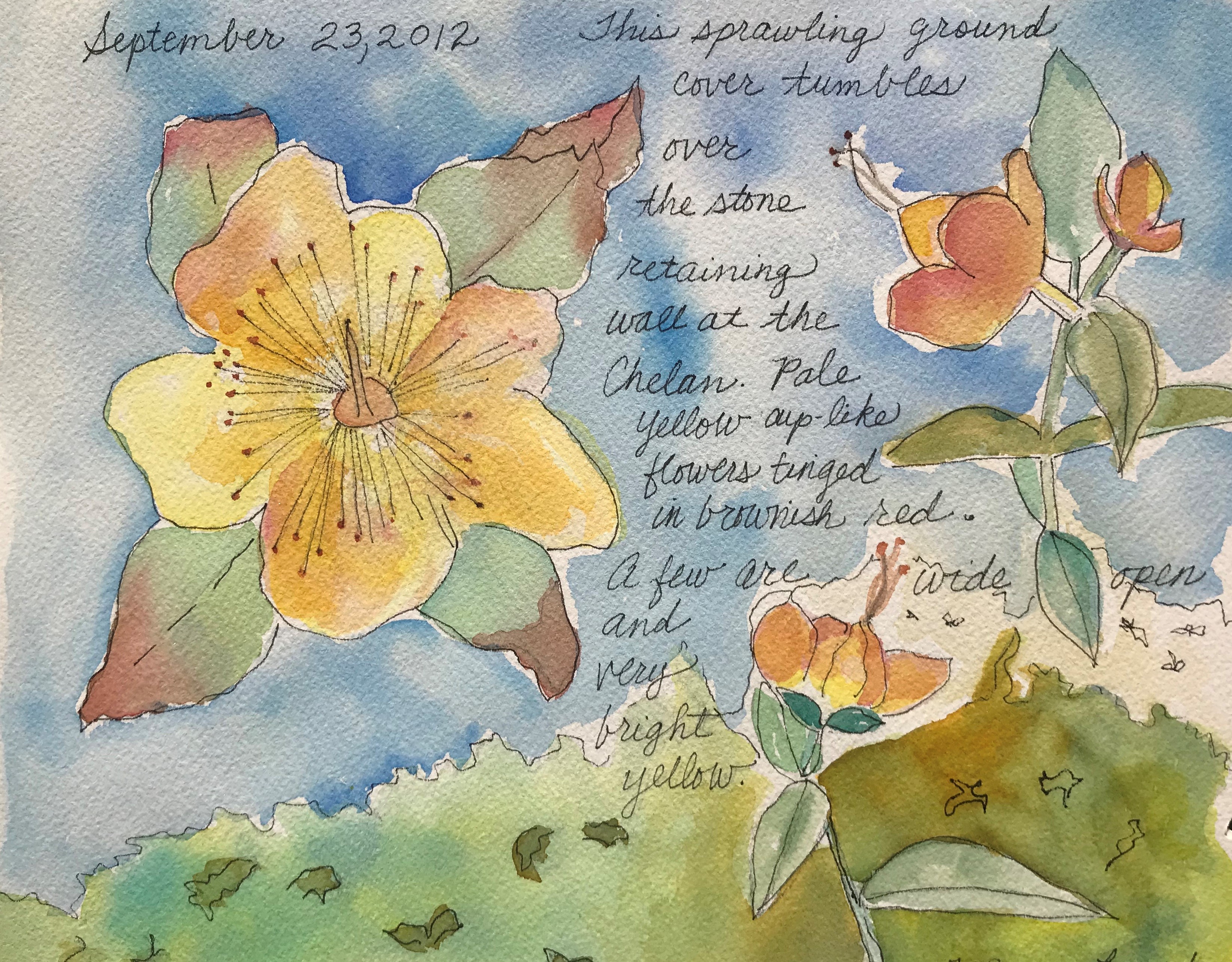 *CANCELLED* Nature Journaling with Watercolors