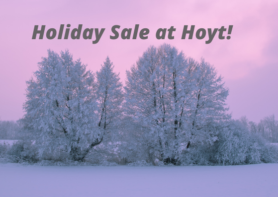 *Postponed Due to Winter Weather** Holiday Sale!