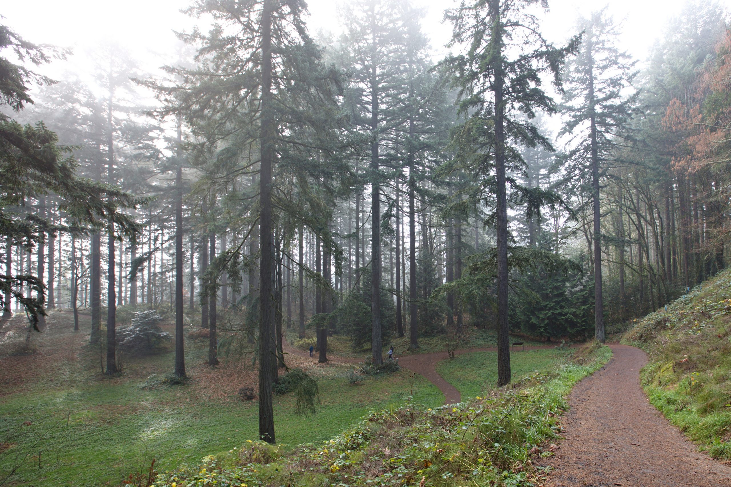 Yoga in Nature