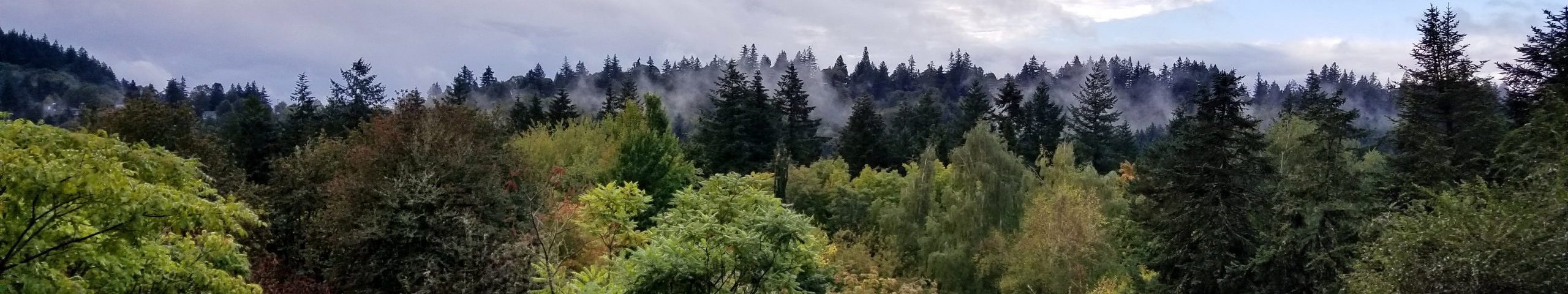 Hoyt Arboretum Family Tour