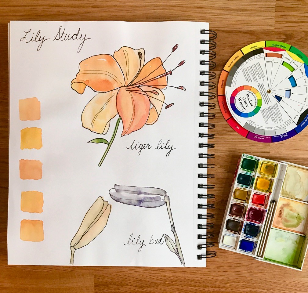 Virtual Watercolor Basics for the Very Beginner