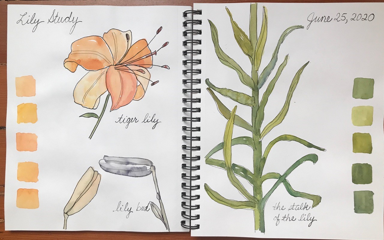 Virtual Watercolor Basics for the Very Beginner