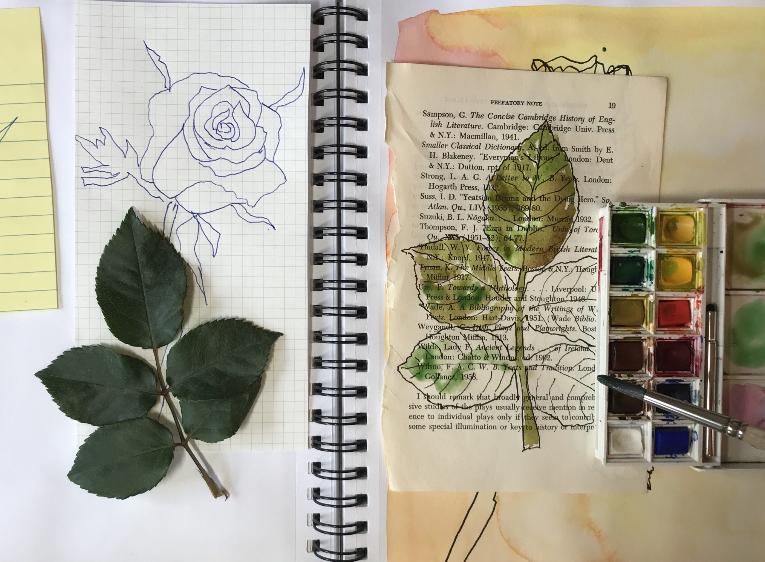 Virtual Nature Journaling