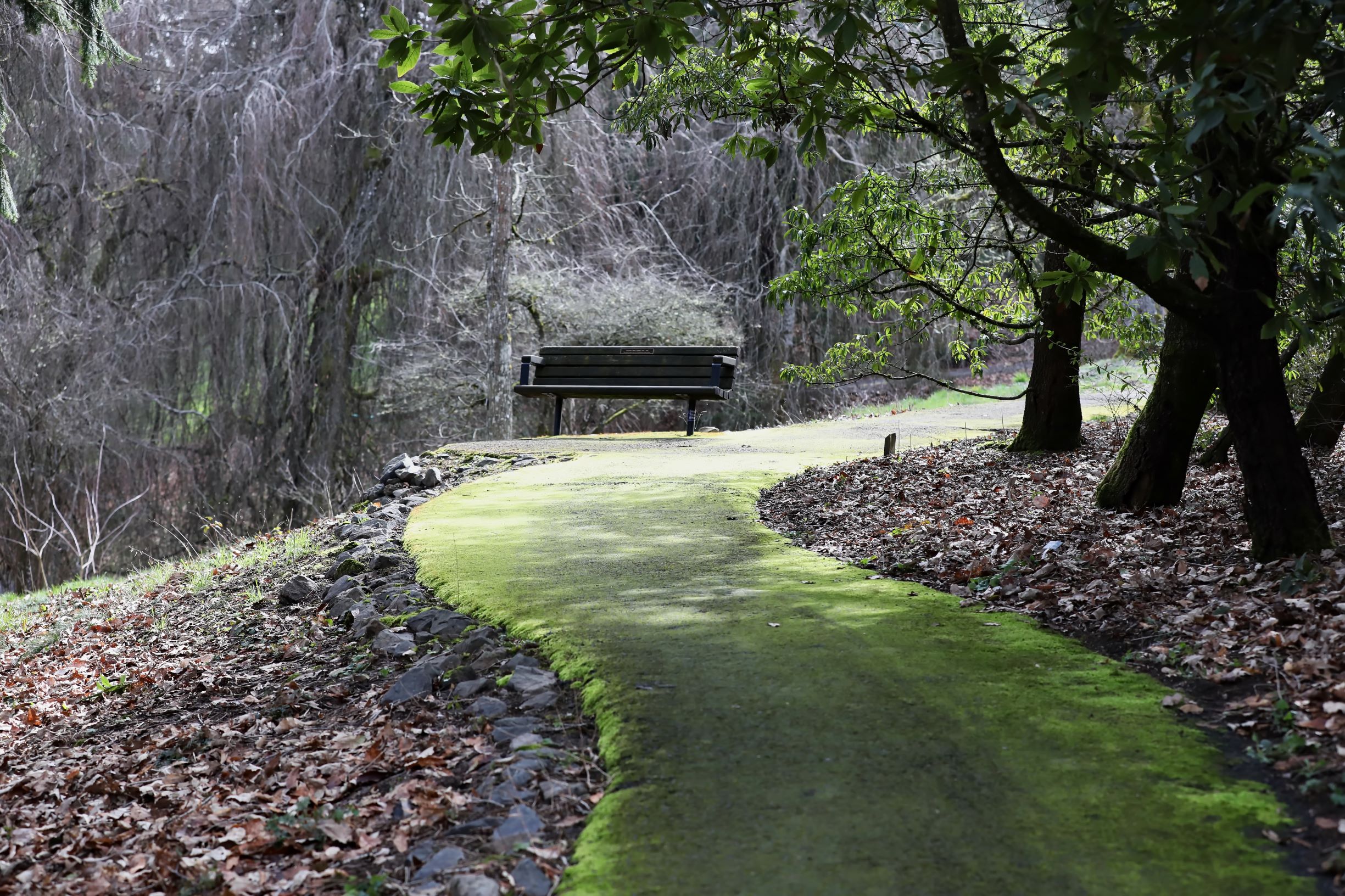 Tai Chi at Hoyt Arboretum