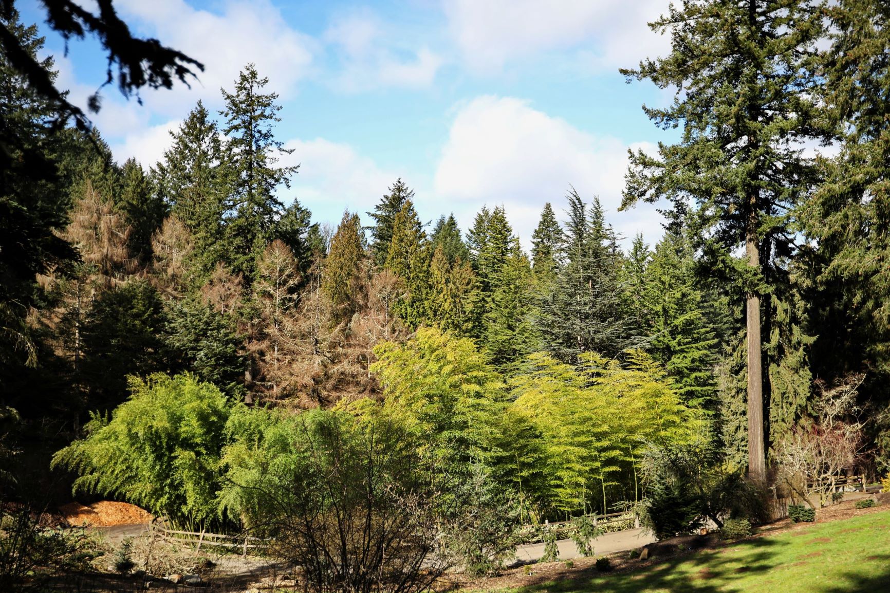 Tai Chi at Hoyt Arboretum