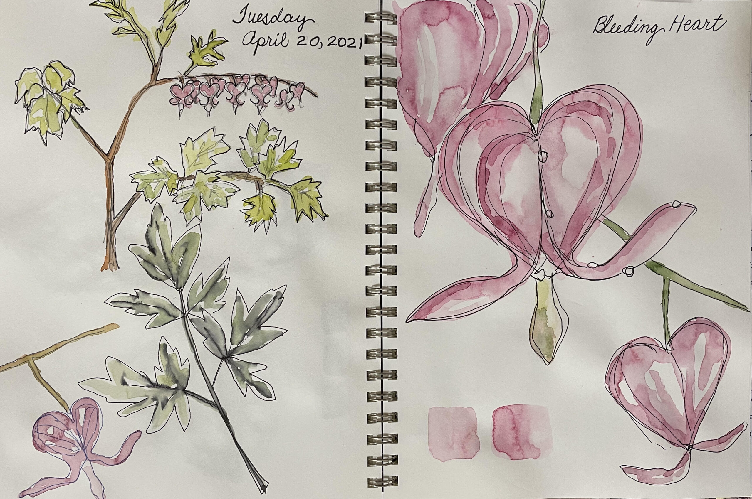 Nature Journaling (In-Person at Hoyt Arboretum)