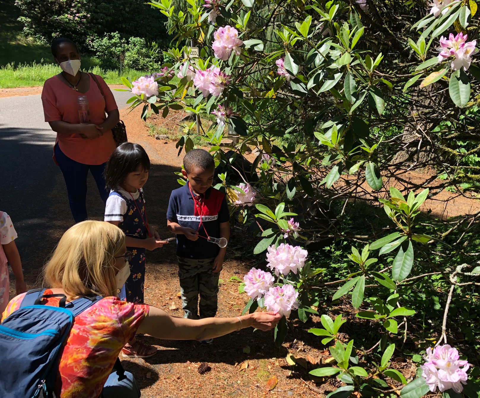 Family Forest Days- Pollinator Walk