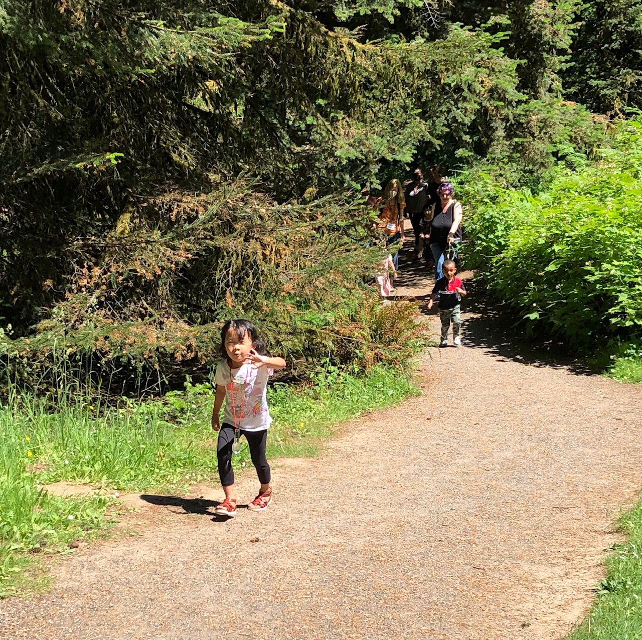 Tree Time! Preschool Walk