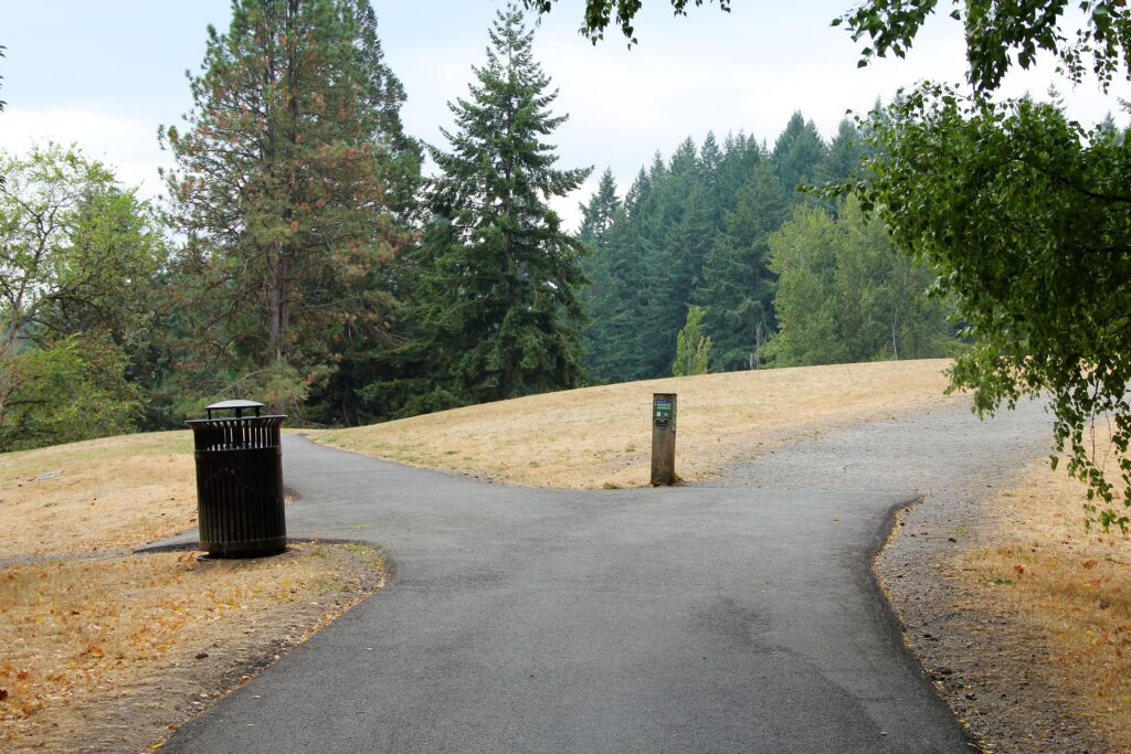 A wide paved pathway branches in 3 directions and is surrounded by dry grass. The right-most branching is marked by a trail post and leads to a gravel pathway, the middle branch continues the paved path downwards on Overlook Trail, and the left-most branching is marked by a brown park trash can and is gravel. There are many tall conifer and broadleaf trees along the sides of the path and in the background.