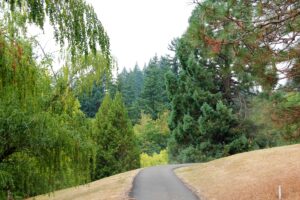 A narrow paved path leading upward and around a slight bend to the right frames by diverse trees along the sides of the path and leading into the background. There is dry grass to either side of the trail.