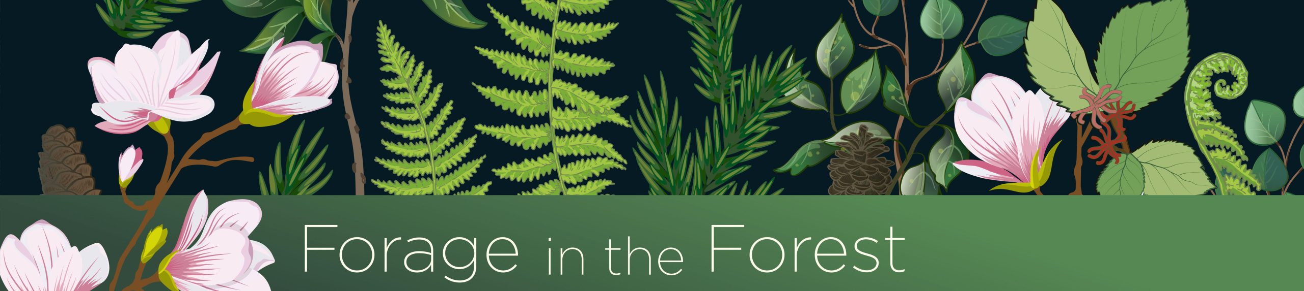 Forage in the Forest