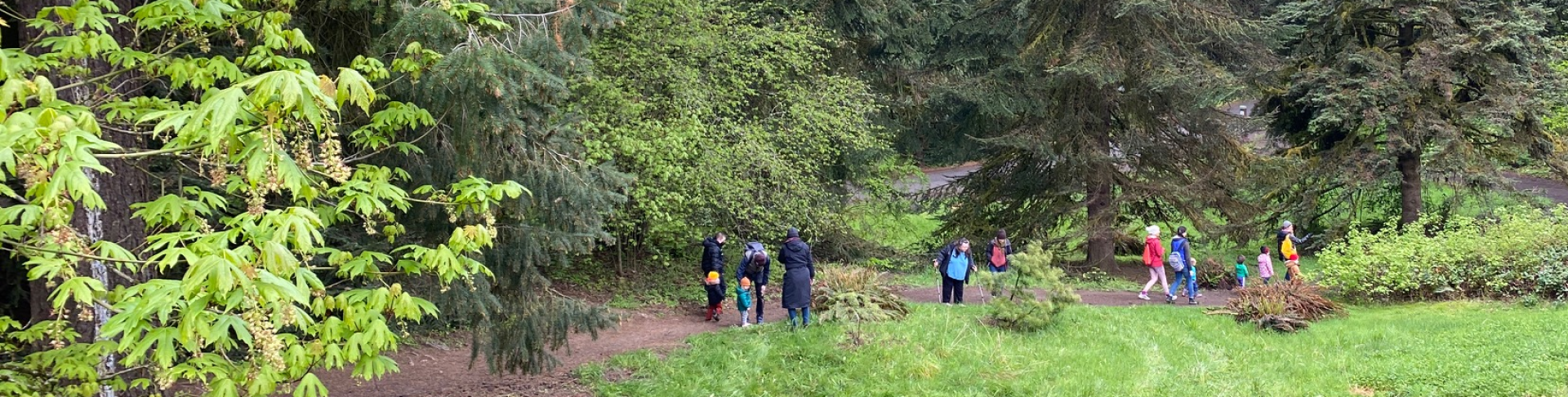 Tree Time! Preschool Walk