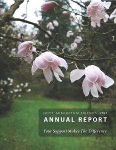 Magnolia blossoms droop down from the top in front of a grassy knoll with trees and white blossoms in the background