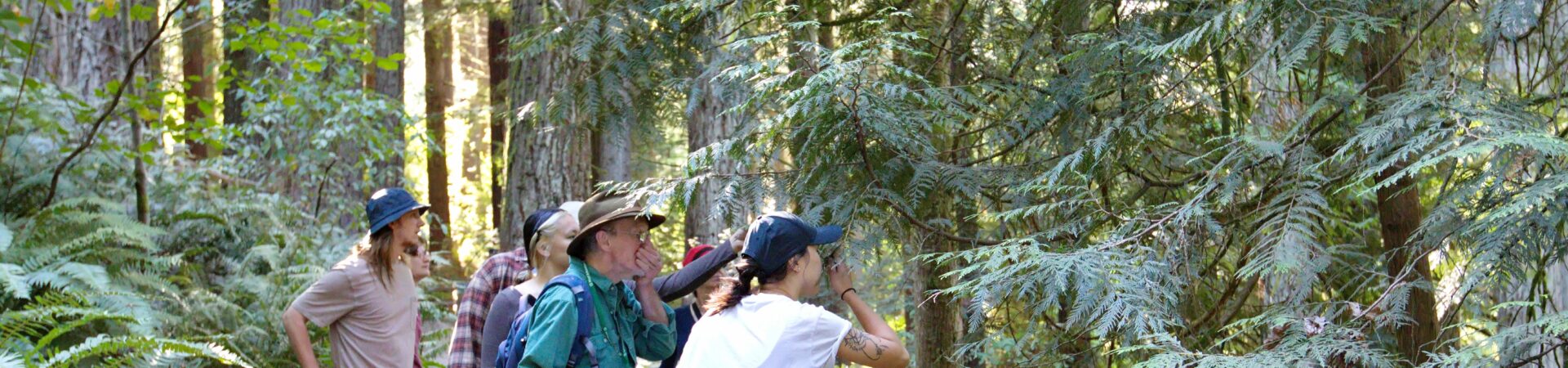 A group of 5 young adults are gathered along a trail surrounded by ferns and evergreen vegetation. A young woman in a baseball hat and a white t-shirt holds a branch to her nose for a smell. A tour guide in a green button down shirt and a sun hat holds a leaf to his nose and is smiling.