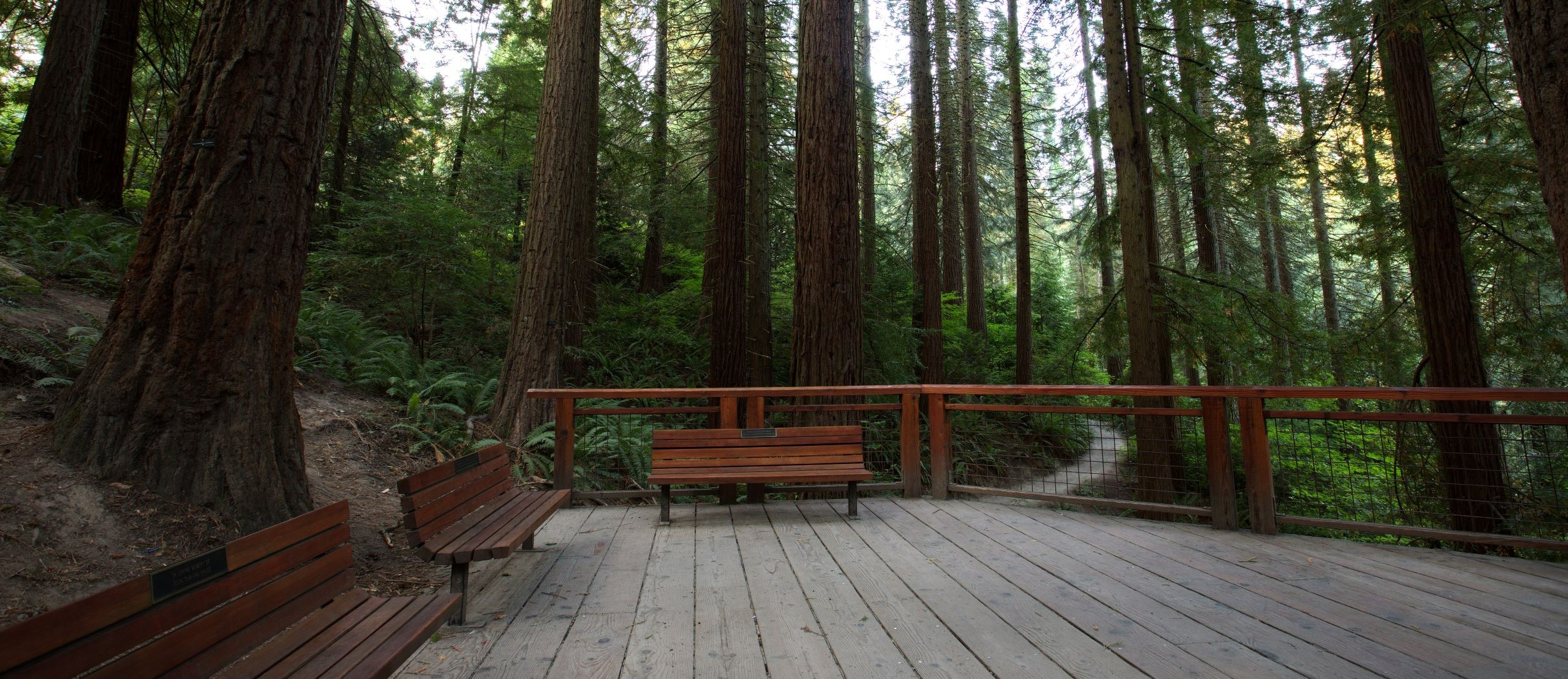 Redwood Deck