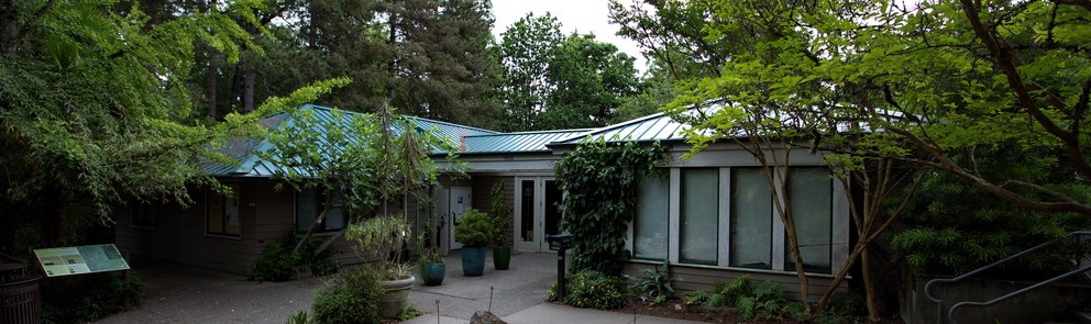 Volunteering at the Visitor Center