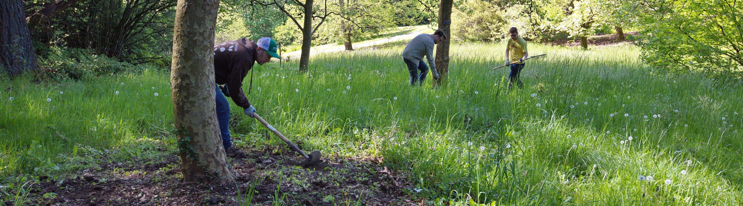 Arbor Day Stewardship Crew