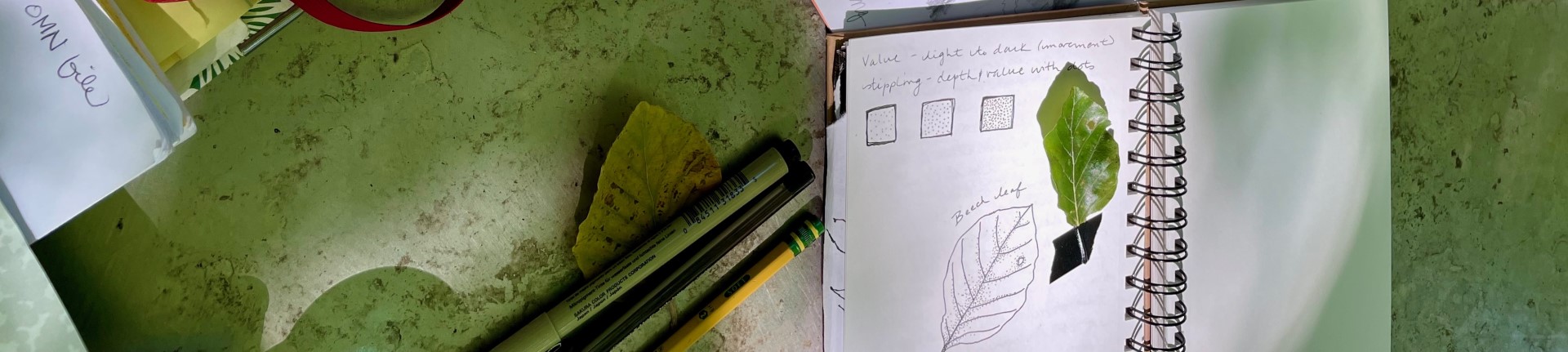 Journal the Arboretum Trees (4 week, outdoor series)