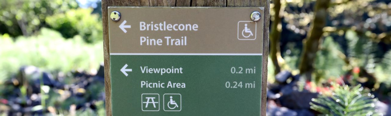 Virtual Community Meeting: Bristlecone Pine Trail Accessibility Improvement Project