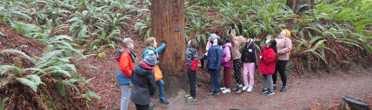 How to Read a Tree Sign at Hoyt Arboretum