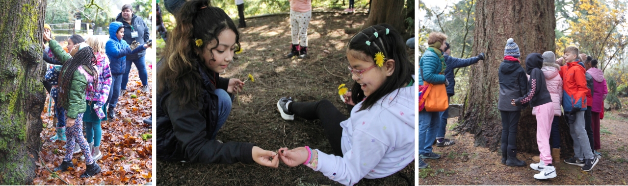 Family Forest Day: Best Trees Forever!