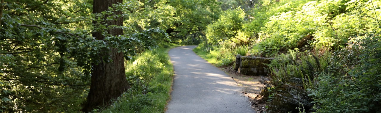 Trees For All Public Tour