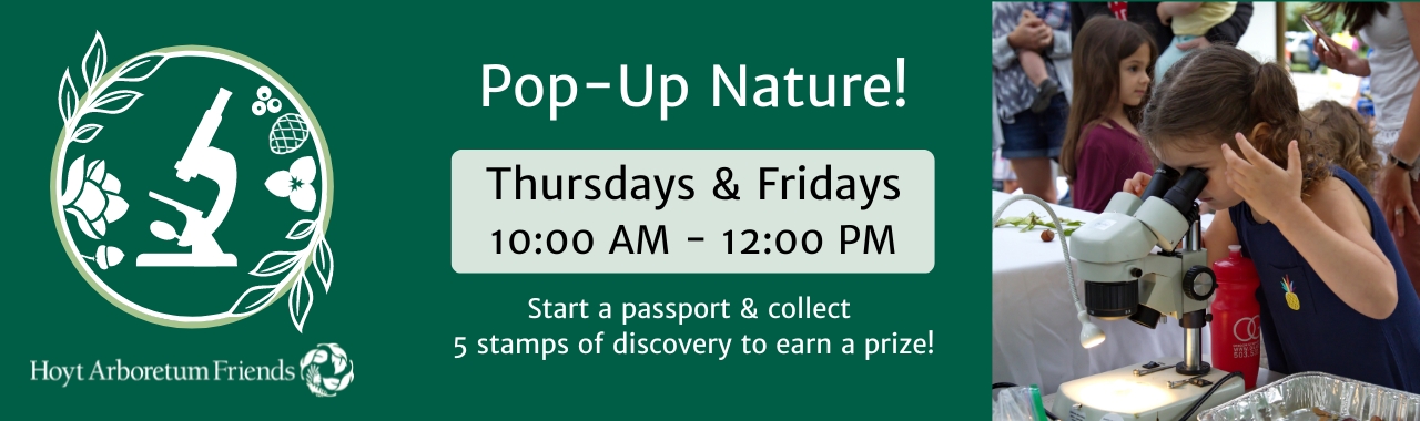 Pop-Up Nature!