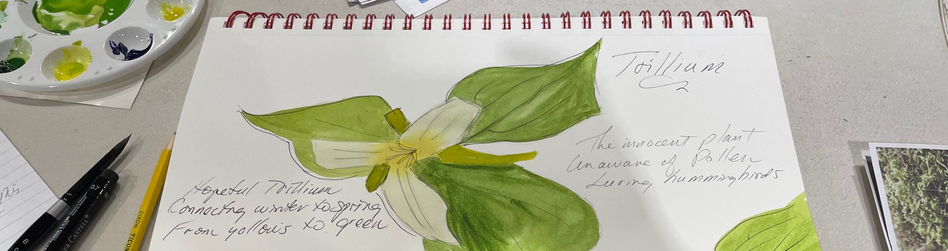 Nature’s Colors: Watercolor Basics for Nature Journaling