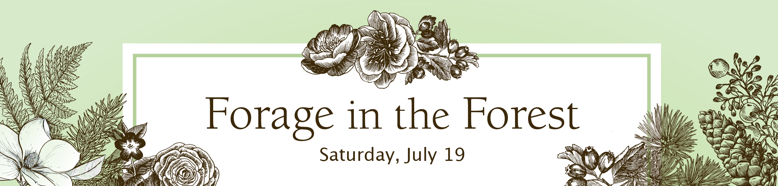 Forage in the Forest