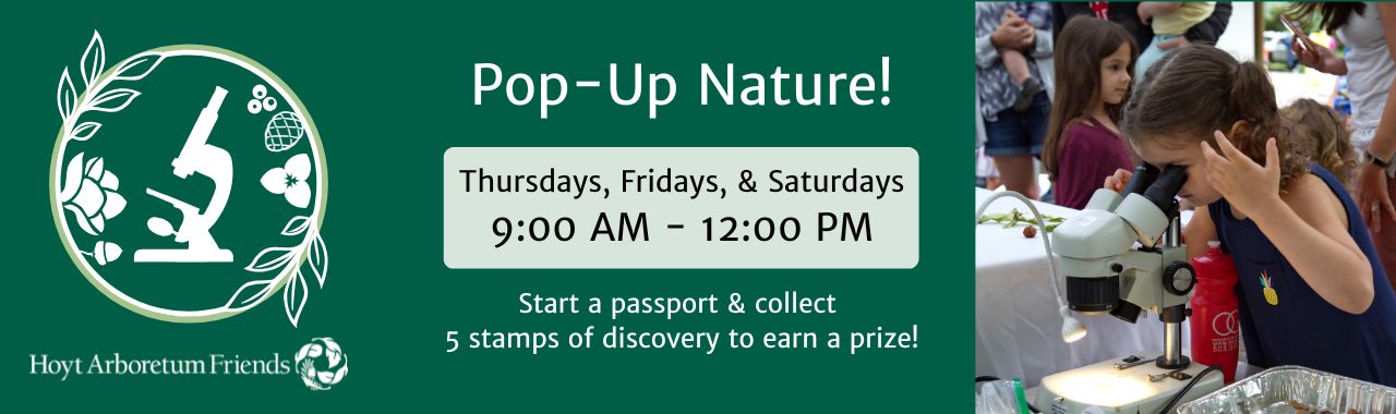 Pop-Up Nature!