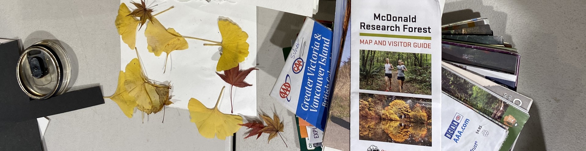Giving Season: Eco-Art Collage, Gratitude, & Reciprocity