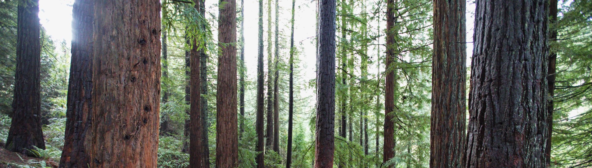 New Hikes Near Portland