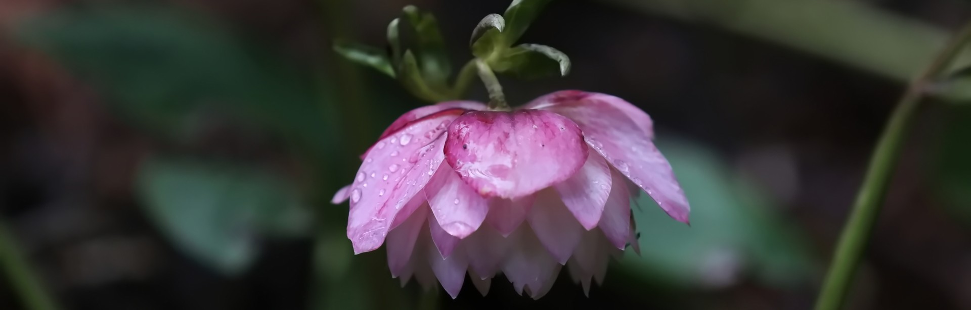 Spring Equinox: Balance, Symbolism & Renewal