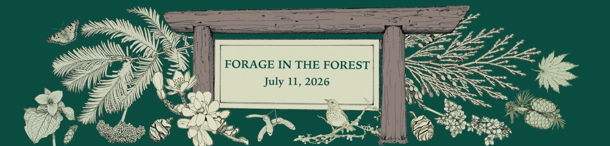 Forage in the Forest