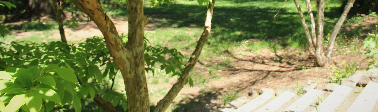 Music in the Arboretum with Julian Saporiti