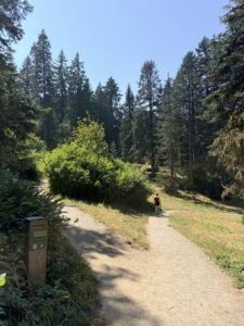 The start of Redwood Trail at the intersection with Fir Trail.