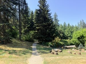 Redwood Trail leading to the Larch Collection and passing though the tree stump rest area.