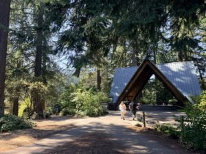 The path that leads to Stevens Pavilion with Fir Trail and the connection with the beginning of Redwood Trail to the left.
