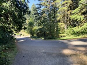 Redwood Trail leading to Fischer Ln and the Redwood Trail marker post across the small road. Fischer Lane is a park road and has vehicle access.