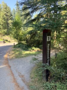 The Redwood Trail marker post at the crossing of Fischer Lane.