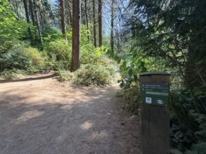 The junction at the connector trail and Redwood Trail that leads to Bray Lane.