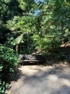 A wooden bench seat 2-3 adults along a connector trail in the "Jurassic Forest" between Redwood Trail and Bray Lane near the Wedding Meadow. 