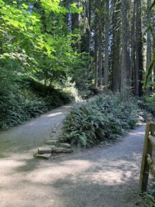 Wildwood Trail switchback that leads to the Redwood Deck just passed Redwood Trail.