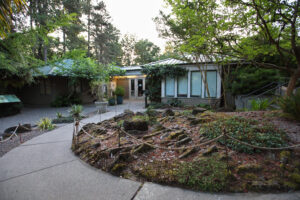 A concrete path around a rocky garden leads to a small building with a green roof. 